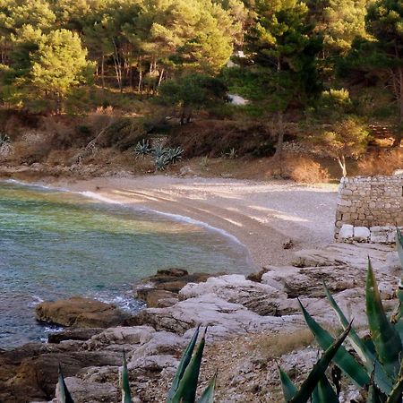 Guesthouse Torga 维斯 外观 照片